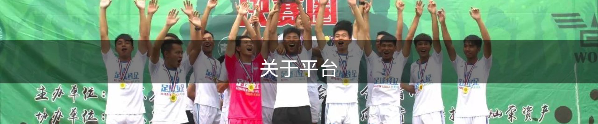 关于平台